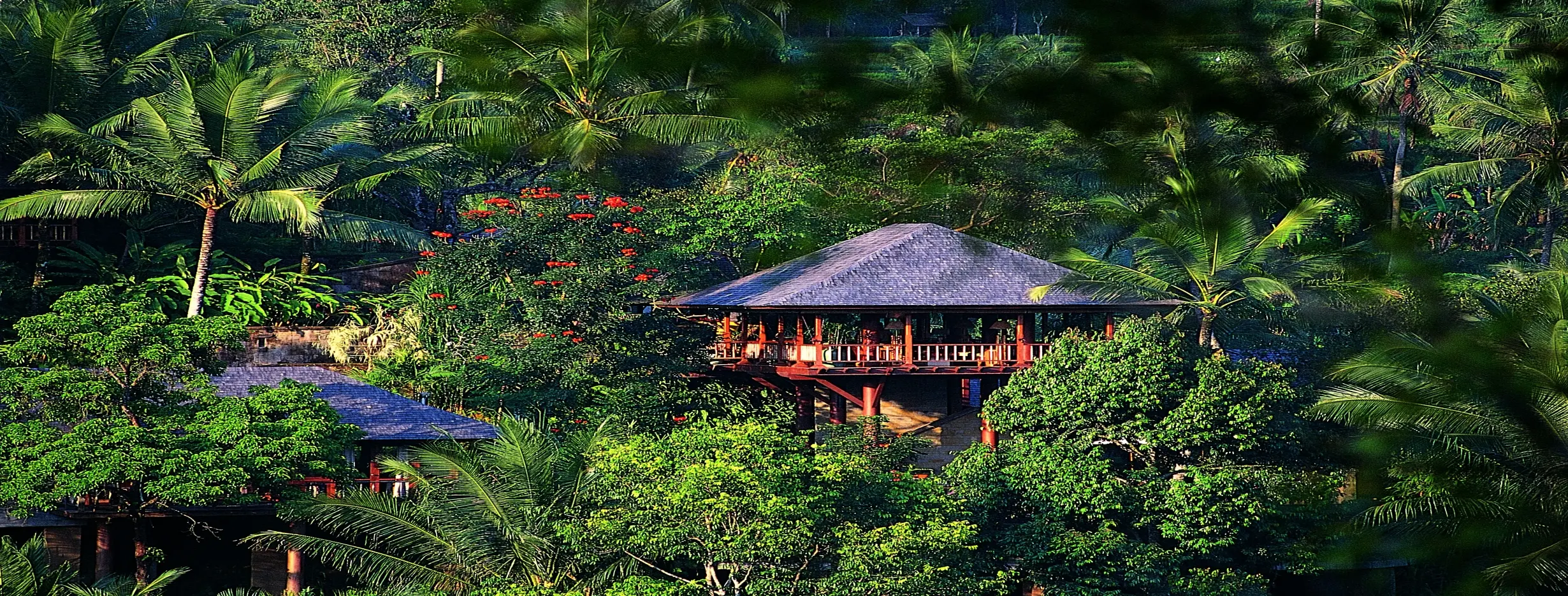 Image for Jungle Retreats